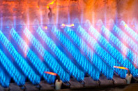 Rosevine gas fired boilers